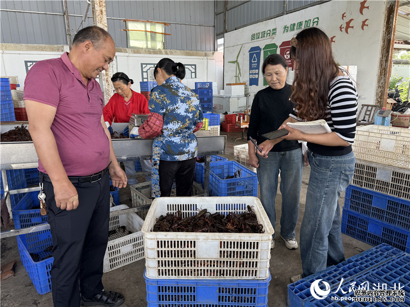 郑培昌在高兴村的收虾点卖虾。人民网记者张隽摄